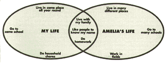 amelia diagram