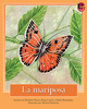 Thumb_butterfly_span__low-res_frontcover