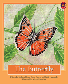 Main_butterfly_eng__low-res_frontcover