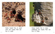 Thumb_where_do_insects_live_eng_lowresspread_page_4