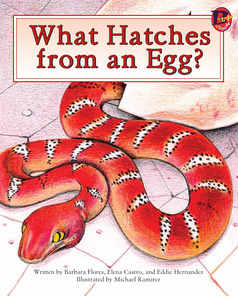 Main_what_hatches_from_egg__eng_lo_res-1