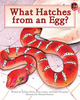 Thumb_what_hatches_from_egg__eng_lo_res-1