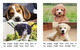Thumb_a_puppy_for_me_eng_lowresspread_page_5