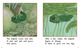 Thumb_the_tadpole_eng_lowresspread_page_5