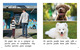 Thumb_a_puppy_for_me_span__lowresspread_page_4