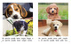 Thumb_a_puppy_for_me_span__lowresspread_page_5