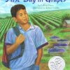 Front cover for First Day in Grapes by L. King Perez and Robert Casilla
