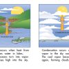 Interior spread #3 for The Water Cycle by Barbara Flores; Elena Castro; Eddie Hernández