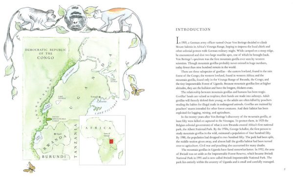 Interior spread #2 for Gorilla Walk by Betsy Lewin; Ted Lewin and Betsy Lewin; Ted Lewin