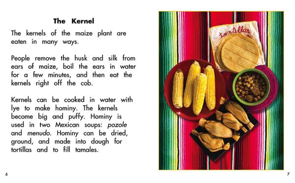 Interior spread #3 for Maize: Plant of the Americas by Barbara M. Flores; Elena Castro; Eddie Hernández