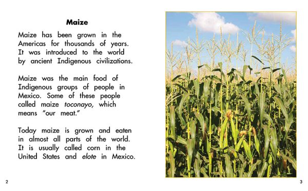 Interior spread #1 for Maize: Plant of the Americas by Barbara M. Flores; Elena Castro; Eddie Hernández