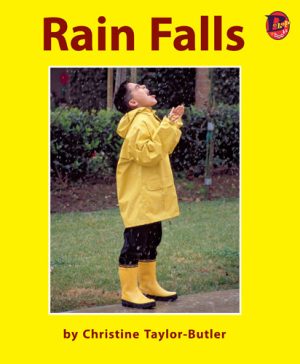 Front covernull for Rain Falls by Christine Taylor-Butler