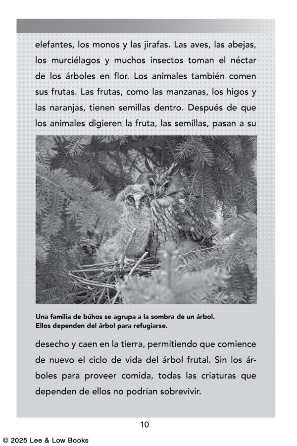 Interior spread #4 for La historia de la ambientalista Wangari Maathai (The Story of Environmentalist Wangari Maathai) by Jen Cullerton Johnson; Rita E. Urquijo-Ruiz and Sonia Lynn Sadler