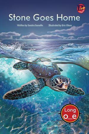 Front cover for Stone Goes Home (Drumbeat Decodables #11) by Sandra Samatte and Eric Olson
